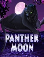 สูตร บา คารา ฟรี ที่คุณต้องลอง